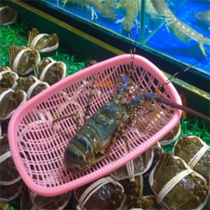 富民路海鲜水产市场螃蟹