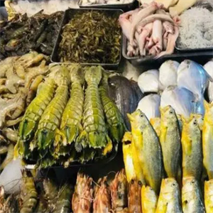 渤海水产皮皮虾